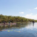 BWA NW OkavangoDelta 2016DEC02 Mokoro 031 : 2016, 2016 - African Adventures, Africa, Botswana, Date, December, Mokoro Base Camp, Month, Northwest, Okavango Delta, Places, Southern, Trips, Year